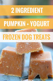 2 Ingredient Frozen Pumpkin Yogurt Dog Treats