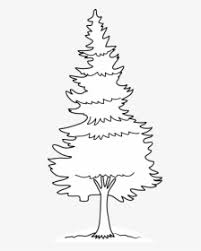 Does your child love observing different types of trees, & are you looking for some tree coloring pages to fuel his curiosity? Realistic Tree Png Photo Tree Png High Resolution Transparent Png Transparent Png Image Pngitem