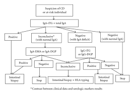 Autoantibody tests for celiac disease commonly include: Algorithm Proposal For Biologic Diagnosis Of Celiac Disease Download Scientific Diagram