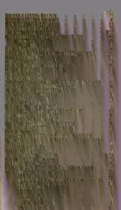 Image result for Trichopteryx elegantula