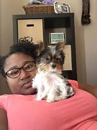 Our cheeka has passed away today, This was her yesterday napping we had to  prop her up so she wouldn't fall over