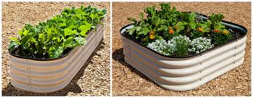 Birdies Raised Garden Beds Uk Beneficial Insects And How To Attract Them To Your Garden Birdies Garden Products Usabirdies Garden Products Usa