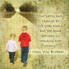 Life Quotes Sisters Quotes Happy Birthday Brother Bears Big Brother Little Sisters Families Brother Quotes Ripped Brother Honey