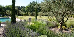 Jardin Prive Provencal Saint Cannat 13 Architecte Paysagiste Thomas Gentilini Creation Et Amenagem Jardin Mediterraneen Architecte Paysagiste Paysagiste