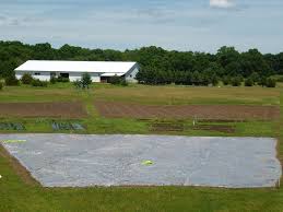 How to solarize a garden bed. Using The Sun To Kill Weeds And Prepare Garden Plots Umn Extension