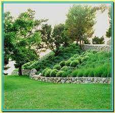Terraces reduce reduce the chances of injuries and and mud slides. Pin On Outdoor Deco