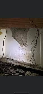 Mario martinez on seotud selle ettevõttega. All N One Pest Eliminators Home Facebook