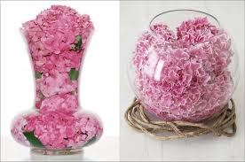 Kết quả hình ảnh cho cẩm tú cầu nhiều màu