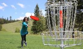 Image result for how much do frisbee golf discs cost