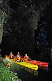 Black Magic New Zealand By Night Kayak Tours Kayaking New Zealand Travel