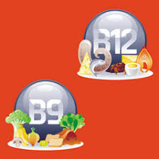 La vitamina b12 è un nutriente che si trova naturalmente nei prodotti di origine animale, quindi è scarsa nelle diete vegane e vegetariane. Vitamina B12 E Folati Cosa Sono E A Cosa Servono Issalute