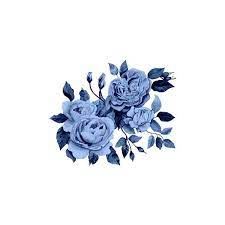 You don't have to credit me, as i only compiled them. Les Roses Flower Iphone Wallpaper Blue Flower Png Peach Wallpaper