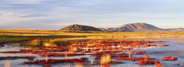 Убсунурская котловина, ubsunorskaya kotlovina), which is the western part of the drainage basin, or to over 10,000 km2 (3,900 sq mi) of protected areas covering the lake and its surroundings. Ubsunorskaya Kotlovina Biosphere Reserve Russian Federation