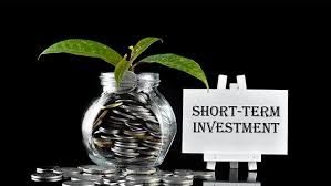 10 Best Short Term Investment Plans With High Returns In India 2024