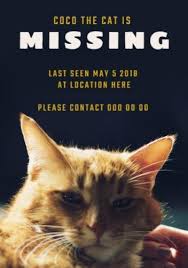 Create free missing cat poster flyers, posters, social media graphics and videos in minutes. Create A Custom Poster With Our Amazing Mix Of Poster Templates