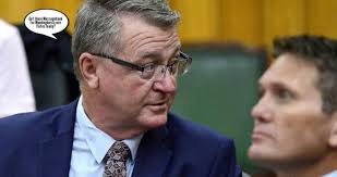 Liveability And Liability. Mayor Mullet's Cringeworthy Video Asking You To  Do Her Job. » Townsville Magpie