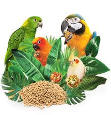 Maybe you would like to learn more about one of these? Red Lory Personality Food Care Pet Birds By Lafeber Co