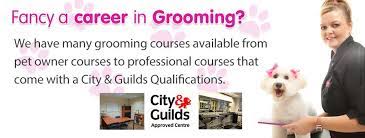 Provides specialised canine related courses & guides for anyone. Pampered Pets Grooming Academy Home Facebook