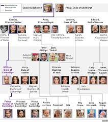 People born under the rule of walnut are just as hard and tough as the tree. Royal Family Tree And Line Of Succession Bbc News