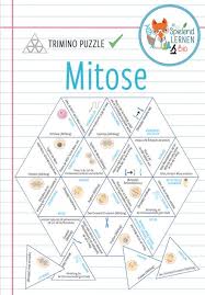 Mitose Trimino Unterrichtsmaterial Im Fach Biologie In 2020 Biologie Klassenzimmer Biologie Unterrichtsmaterial