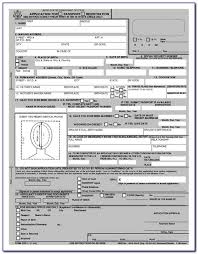 Last will and testament forms free printable. P R I N T A B L E G U Y A N A P A S S P O R T F O R M S Zonealarm Results