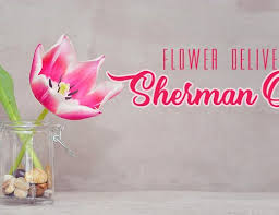 Find a whole foods market store near you. The 12 Best Options For Flower Delivery In Colombia 2021