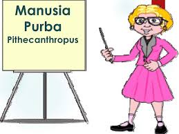 Manusia Purba Pithecanthropus Ppt Download