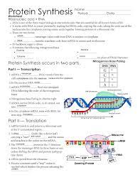 Mrna and transcription worksheet answer key elegant amoeba sisters dna vs rna and protein synthesis worksheet can be beneficial inspiration ribosomes dna rna mrna trna functions protein synthesis in cytoplasm. Protein Synthesis Issaquah Connect