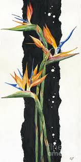 Bird Of Paradise Flower Painting Strelitzia Bird Of Paradise 11 By Elena Yakubovich Paradise Painting Bird Of Paradise Tattoo Birds Of Paradise Flower