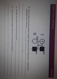 Answer each of the following questions using a punnett square and the rules of monohybrid crosses. Amoeba Sisters Monohybrid Crosses Answer Key Punnett Squares Ck 12 Foundation Year 11 Genetics Monohybrid Crosses Answers 1 Cami Sommers