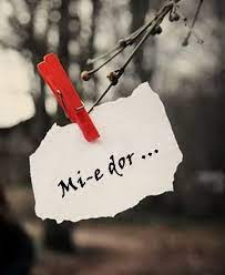 The ideal manufacturing software systems which functional to plan production and supply chain process. Si Mie Mi E Dor Mishu