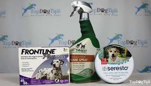 The Best Flea Drops For Dogs That Are Safe And Effective 2020