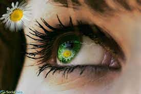 Beautiful Eye Flowers Optometry Beautiful Eyes Eye Care Eye Infections