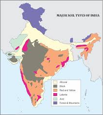 1mark the major soil types in india in a political mapa and