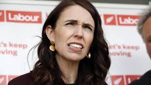 What the Prime Minister might find when she visits Stewart Island