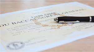 Chat « comment réussir son rattrapage ? Resultats Definitifs Du Bac 2017 79 De La Classe D Age Diplomee Vousnousils