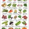 List of flowers name in different indian languages (10 in 1) and their pronunciation in english here is the list of flower names in different languages like tamil, hindi, telugu, malayalam, kannada, bengali, punjabi, marathi, gujarati and nepali languages with their pronunciation in english. Https Encrypted Tbn0 Gstatic Com Images Q Tbn And9gcsigt7o3xiof8ecpywjix 0fccbgqwwx Slydbdjq0sjis0tpeq Usqp Cau