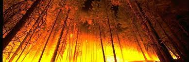 A tűzgyújtási tilalom idején tilos tüzet gyújtani a külterületi ingatlanokon fekvő erdőkben és fásításokban, valamint azok 200 méteres körzetében, a kijelölt, kiépített tűzrakóhelyeken is. Tuzgyujtasi Tilalom Nebih