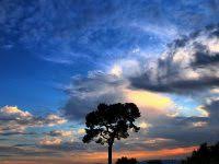 Download surat yasin dan terjemahannya, download surah yasin, download surat yasin mp3, free arti surat yasin ayat 82 83 lakers, arti surat yasin ayat 82 83 georgetown hoyas, arti surat yasin. Nama Khodam Surat Yasin Ayat 82 Arsip Ilmu Hikmah