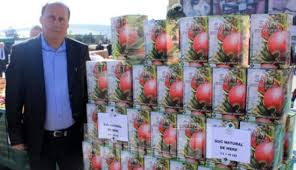 Sucul de mere este o băutură 100% naturală, cu proprietăţi nutritive şi terapeutice de admirat. Suc Natural De Mere Sucuri De Mere Mere De Consum Suceava Iasi Botosani Neamt Bucuresti Romania Suc Saft Info Suceava Informatii Utile Firme Anunturi Ghid Turistic Evenimente