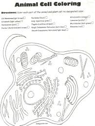 Free animal cell clipart featuring hand drawn illustrations for teachers and educators. Take Animal Cell Coloring Page Free Printable Coloring Pages Easy Coloring Home