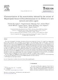 Image result for Magnistipula