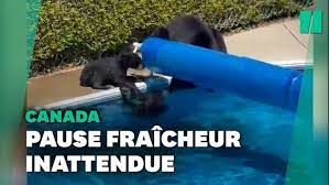 N'hésitez pas à passer gratuitement votre propre annonce ! Q5hht9efhik4sm