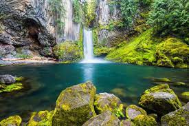 Check spelling or type a new query. Toketee Falls Trail Oregon Wild