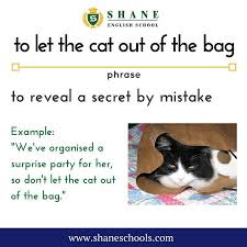 To Let The Cat Out Of The Bag To Reveal A Secret By Mistake We Ve Organised A Surprise Party For Her So Don T Let The Cat Out Of The Bag Shaneenglishschool