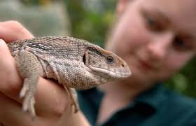 Half-term: Things to do