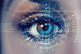 See all things to do. Company Vision Brandignity
