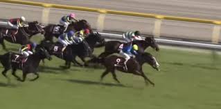 Read the rest of this entry ». äº¬çŽ‹æ¯ã‚¹ãƒ—ãƒªãƒ³ã‚°ã‚«ãƒƒãƒ— 2020 ãƒ‡ãƒ¼ã‚¿åˆ†æž å‰èµ°1200mä»¥ä¸‹ã ã£ãŸé¦¬ã§ ã¯é¦¬åˆ¸çµ¡ã¿ãªã—