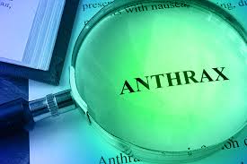 Anthrax: Nigeria Confirms First Infection 