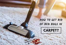 How To Get Rid Of Bed Bugs In A Carpet Easy Instructions Pest Samurai